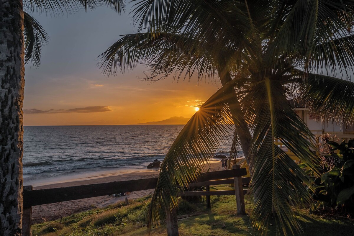 Maui Banyan H-210 | Spacious Lanai, Steps to Beach