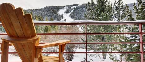 Spectacular mountain view form the balcony