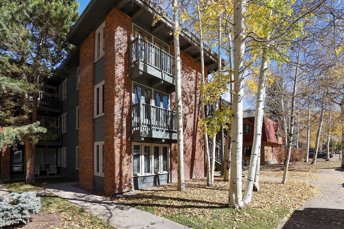 Spacious, affordable condo in core of Aspen