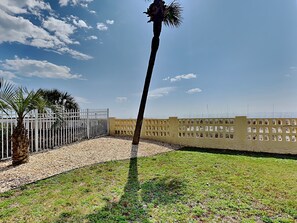 Patio View