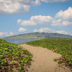 Beach Access