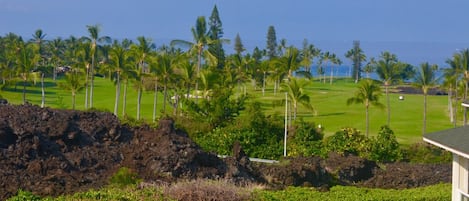 View from Master Bedroom Lanai