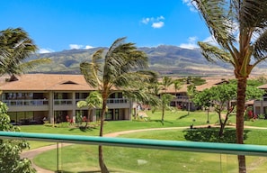With stunning views of the West Maui mountains
                