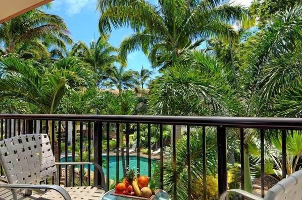Lanai View