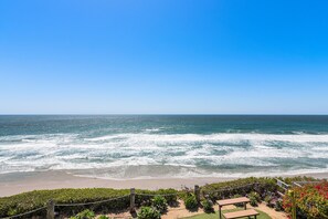 Pacific Ocean Views - Surfers, dolphins, pelicans, gulls and the occasional whale all right here!