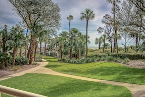 View from Patio