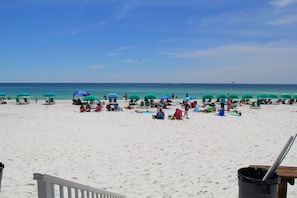 Pelican Beach gulf side