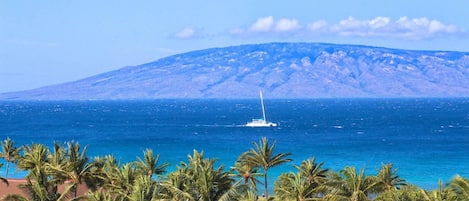 Vue sur la plage ou l’océan