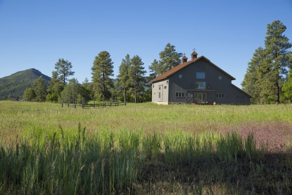 Wildflowers and mountains surround the barn