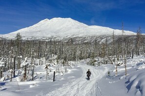 Skidåkning och snöaktiviteter