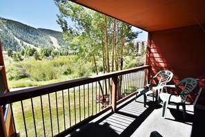 Deck with Electric Grill - Deck with Electric Grill