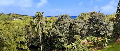 Hale Kai Kailani at Rock Quarry Beach - Ocean View Backyard - Parrish Kauai