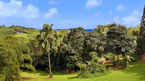 Hale Kai Kailani at Rock Quarry Beach - Ocean View Backyard - Parrish Kauai