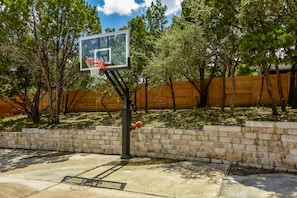 Professional Basketball Hoop & new basketballs & air pump provided