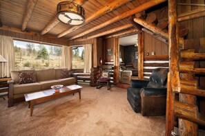 Living Area with TV
