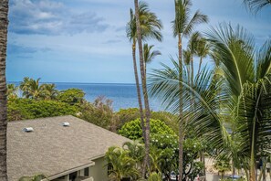 Ocean View