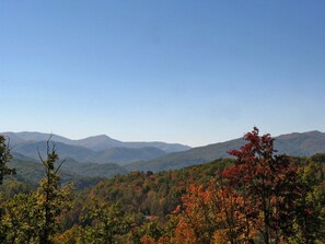 A View For All Seasons