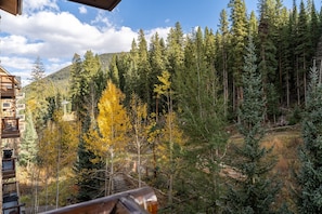 View from the private balcony during Fall.