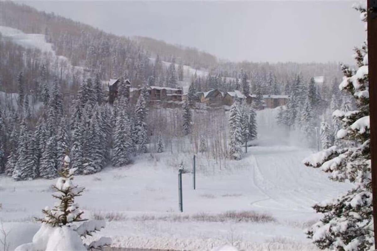 Cozy Cabin in the Woods at Columbine Lake just 1 Mile from Purgatory Ski Resort