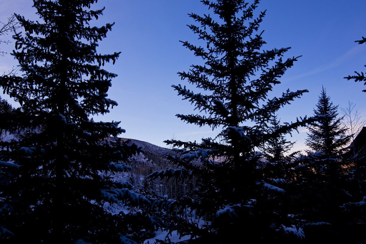 Amazing Arrowhead condo, POOL is OPEN! Walk to slopes, ski locker!!