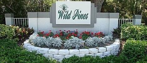 Wild Pines Entrance