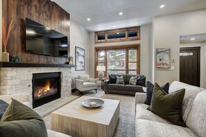 Living room (with sofa sleeper)