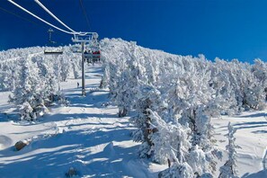 Snow and ski sports