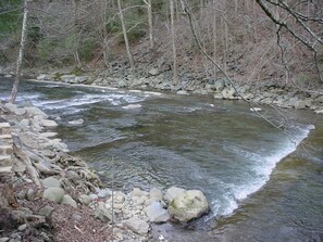 Bear Cabin #462- Outside View of the River