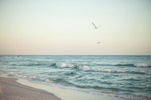 Beach - Picture perfect emerald green water