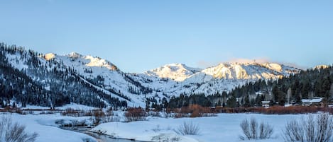 Terrain de l’hébergement 