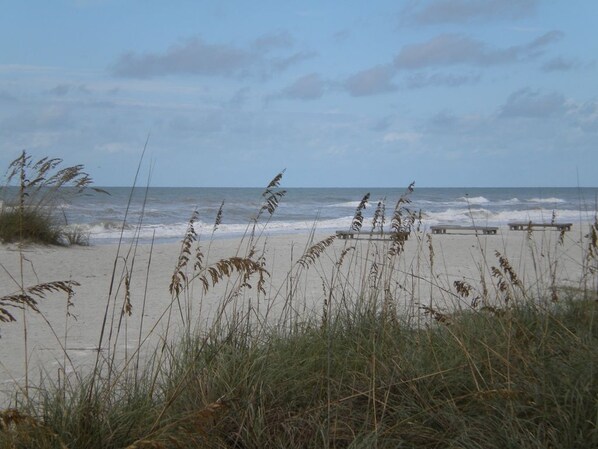 Strand