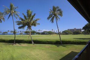 Ocean View