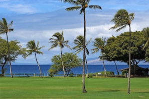 Ocean View from Prime unit J206 -Top Floor, Desirable J unit, 1200 sqft