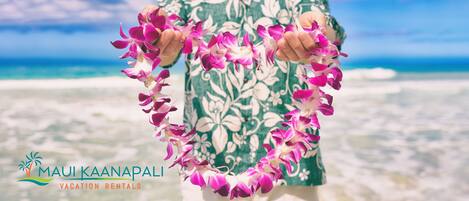 We welcome you with warm ALOHA!