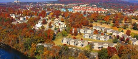 Fall view