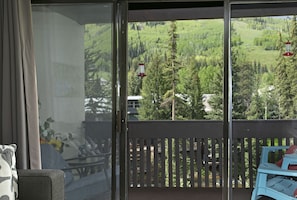 Deck on Creek with Mountain Views