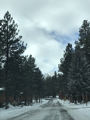 Skidåkning och snöaktiviteter