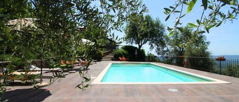 Water, Plant, Sky, Swimming Pool, Tree, Shade, Wood, Outdoor Furniture, House, Arecales