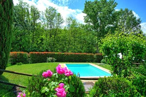 Garden, Outdoor, Pool