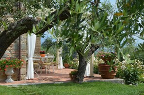 Balcony / Terrace / Patio, Garden