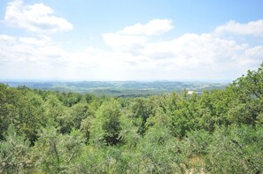 Vegetation, Shrubland, Natürlichen Umgebung, Naturschutzgebiet, Pflanzengemeinschaft, Wildnis, Baum, Biome, Himmel, Tropische Und Subtropische Koniferenwald