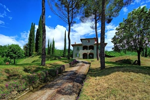 Garden, Outdoor
