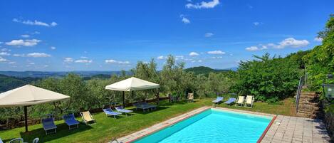 Garden, Pool