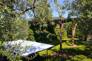 Plant, Tree, Shade, Natural Landscape, Sky, Grass, House, Landscape, Shrub, Leisure