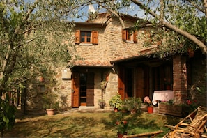 Plant, Building, Window, Leaf, Tree, House, Cottage, Wood, Door, Biome