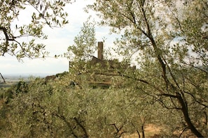 Himmel, Wolke, Gebäude, Pflanzengemeinschaft, Pflanze, Natürliche Landschaft, Baum, Vegetation, Holz, Gras