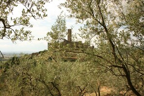 Ciel, Nuage, Bâtiment, Communauté Des Plantes, Plante, Paysage Naturel, Arbre, Végétation, Bois, Herbe