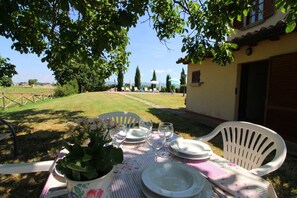 Plant, Tableware, Table, Property, Sky, Tree, Chair, Lighting, Outdoor Furniture, Shade