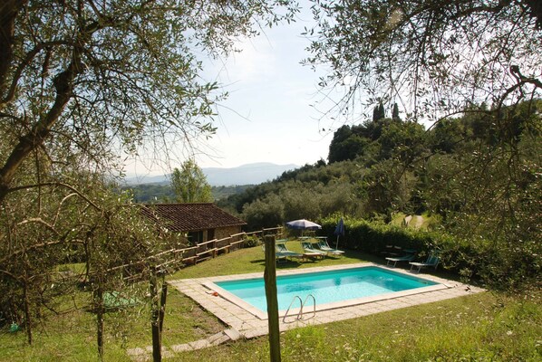 Garden, Pool, Scenic View