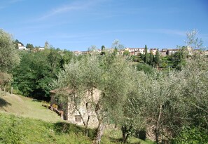 Building Exterior, Scenic View